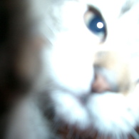 Benutzerbild