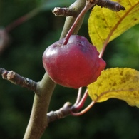 Benutzerbild