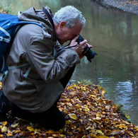 Benutzerbild