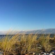 Benutzerbild